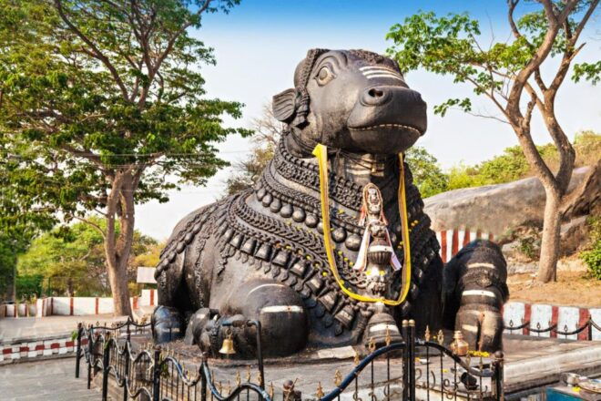 Bangalore Discovery: Temples, Markets, and Parks - Bangalore Contrasts: Diverse Tapestry