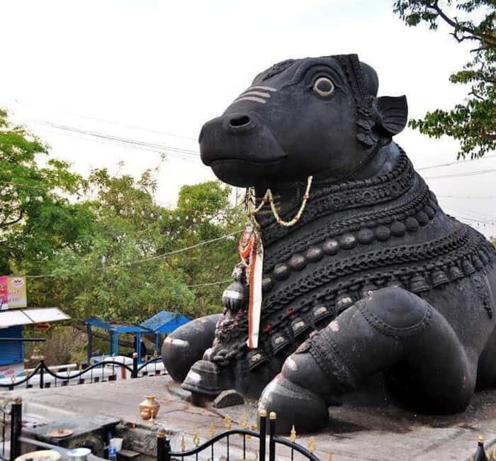 Bangalore: Full-Day Guided City Tour w/ Pickup - Good To Know