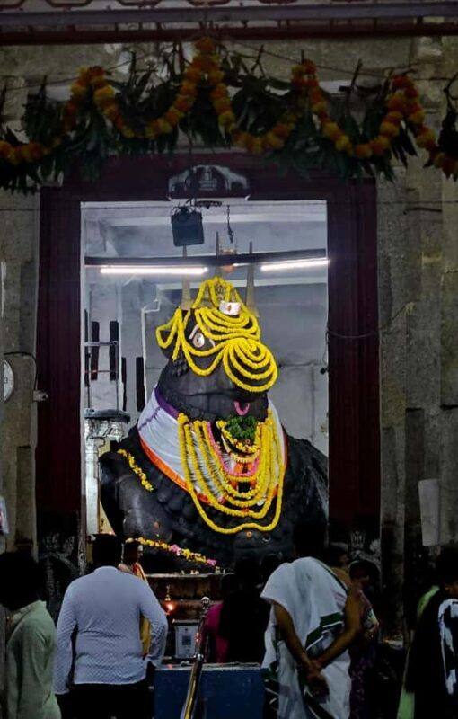 Bangalore Private Guided City Tour|Palace, Temples & Markets - Price and Value