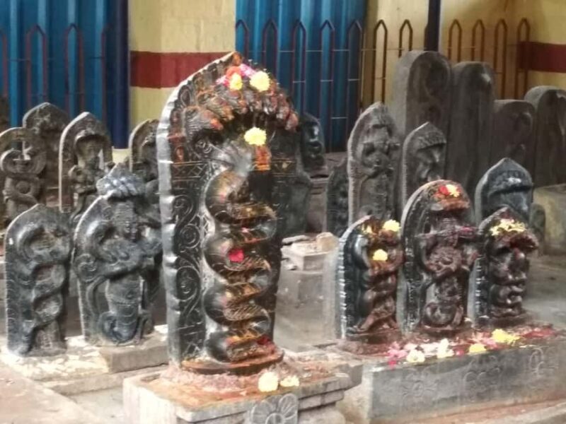 Bangalore: Private Half-Day Sightseeing Tour - Who Will Love This Tour?