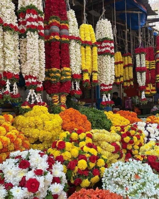 Bangalore: Sacred Bull & Culture Walk in Basavanagudi - An In-Depth Look at the Bangalore Sacred Bull & Culture Walk