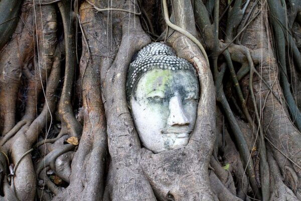 Bangkok: Audio Guides for Bangkok, Chiang Mai and Ayutthaya - Break Down