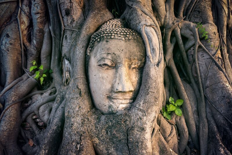 Bangkok Ayutthaya & Bang Pa-In Full-Day Private Tour - Who will get the most from this tour