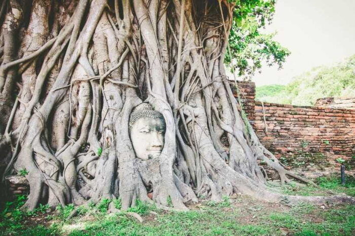 Bangkok-Ayutthaya Day Tour by Bus Return by Cruise & Hotel - Highlights of the Tour