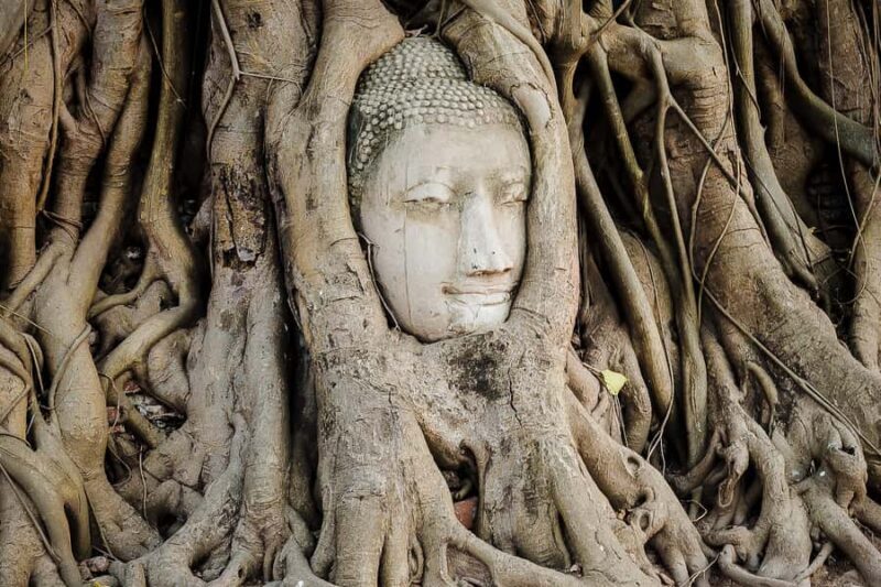 Bangkok: Ayutthaya History, Food and Boat Full-Day Trip - Good To Know