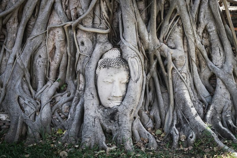 Bangkok Ayutthaya Sunset Tour with Boat Ride - A practical way to reach Ayutthaya from Bangkok
