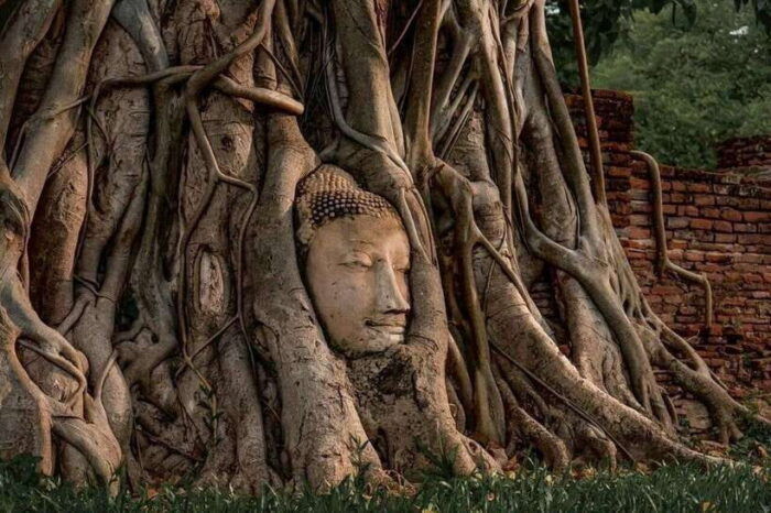 Bangkok: Ayutthaya VIP Day Trip With Boat Ride & Guide - Booking and Cancellation Policy