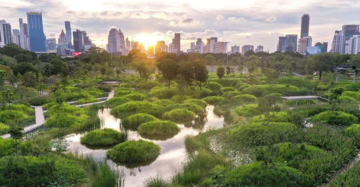Bangkok Bicycle Rental Benjakitti Park - Key Points