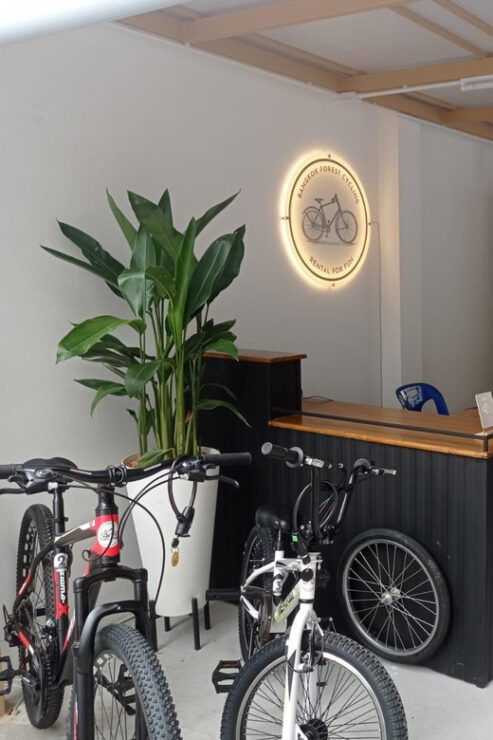 Bangkok Bicycle Rental Benjakitti Park - Rental Pricing and Options