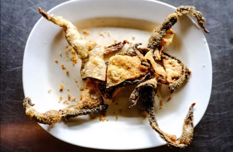 Bangkok: Bizarre Food Challenge Tour with Tuk Tuk Ride - Good To Know