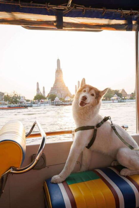 Bangkok: Boat Chao Phraya River Tuk-Tuk Boat Tour - Why Choose This Tuk Tuk Boat Tour?