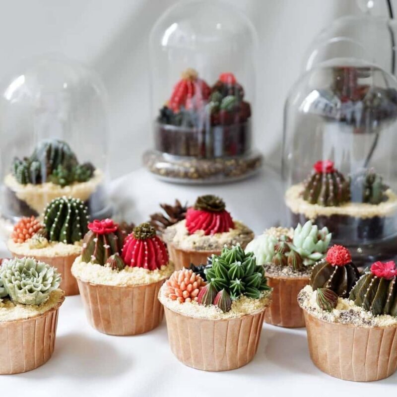 Bangkok: Cake Decorating class - The Experience Through the Lens of Past Participants