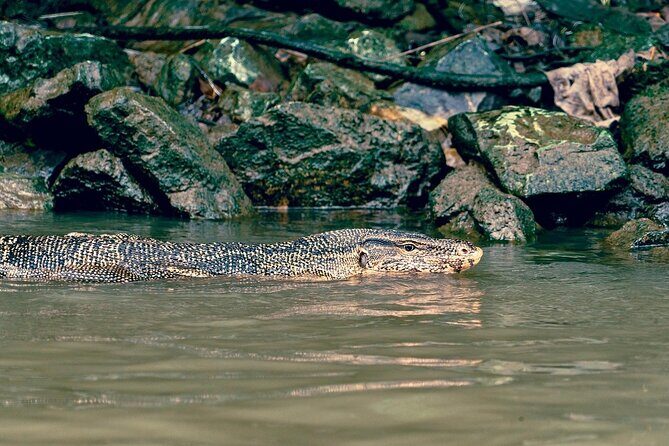 Bangkok Canal Boat Tour to Big Buddha 1 Hour Longtail Cruise - The Sum Up