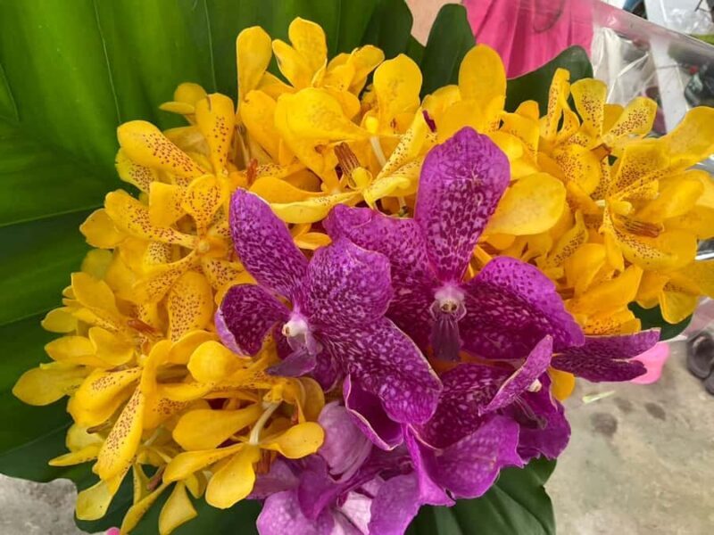 Bangkok Canal Small Teak Boat Full-Day Tour - Final Thoughts: Who Is This Tour For?