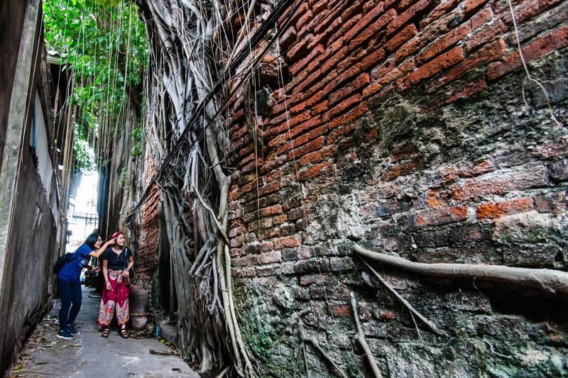 Bangkok Chinatown Half-Day Private Guided Tour - At a Glance