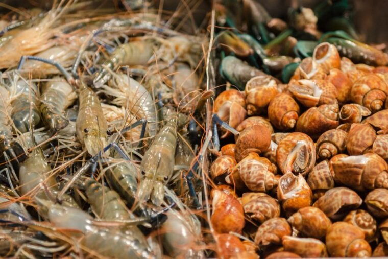 Bangkok Chinatown Night Food Tour - Meeting Information and Precautions