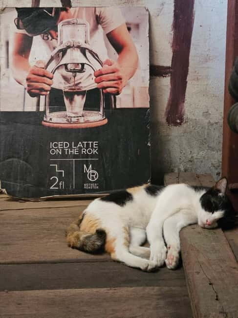 Bangkok: Chinatown Tour with Street Art, Sky Bar & Food - FAQ