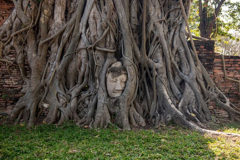 Bangkok Damnoen Saduak & Ayutthaya Full-Day Historical Tour - The guide can shape the day