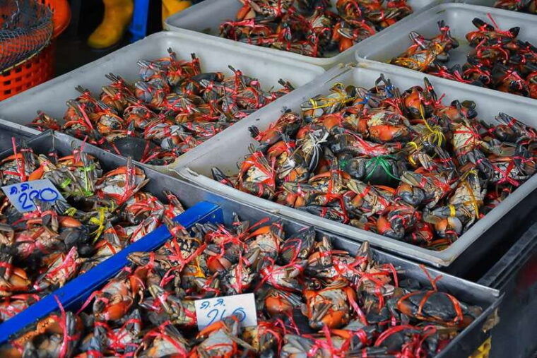 Bangkok: Damnoen Saduak Market and Maeklong Railway Market - Damnoen Saduak Floating Market
