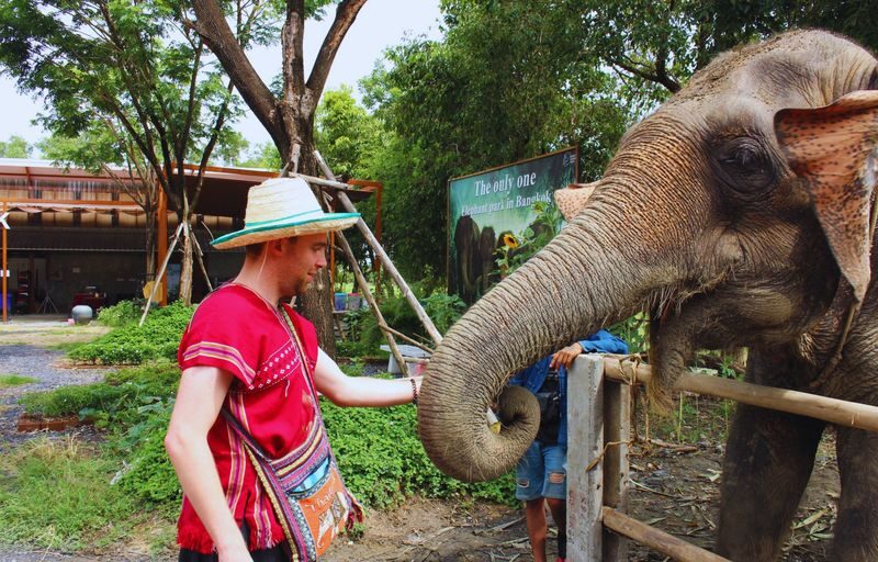 Bangkok Elephant Care Program at Bangkok Elephant Park - Make a Thai herbal inhaler