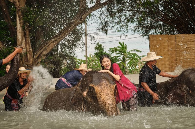 Bangkok Elephant Care Program at Bangkok Elephant Park - The mud spa and bathing session