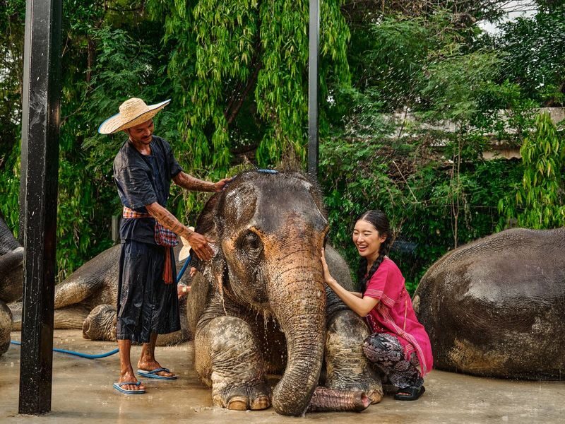 Bangkok Elephant Park and Grand Palace Full Day Tour - Make a Thai herbal inhaler to take home