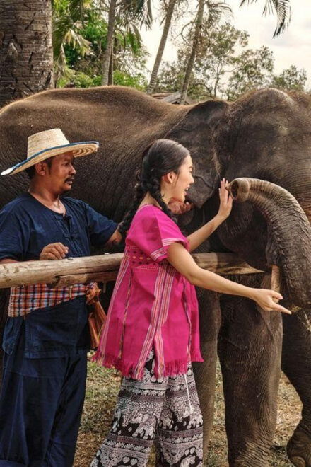Bangkok Elephant Park: Half-Day Elephant Care - Participant Guidelines and Requirements