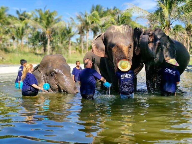 Bangkok: Elephant Sanctuary and Khao Kheow Open Zoo Tour - Good To Know