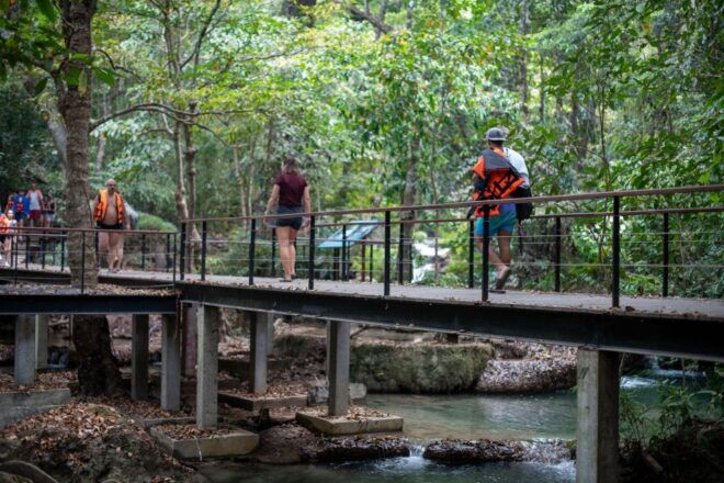 Bangkok: Elephant Sanctuary & Erawan Waterfall Tour - Lunch and Feeding Time