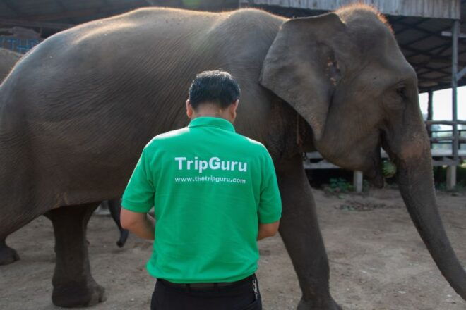 Bangkok: Elephant Sanctuary & Erawan Waterfall Tour - Review and Travel Tips
