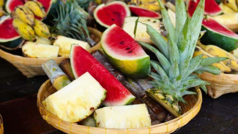 Bangkok: Elephant Sanctuary Guided Tour with Hotel Transfers - FAQ