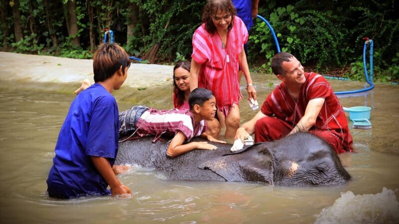 Bangkok: Elephant Sanctuary Guided Tour with Hotel Transfers - FAQ