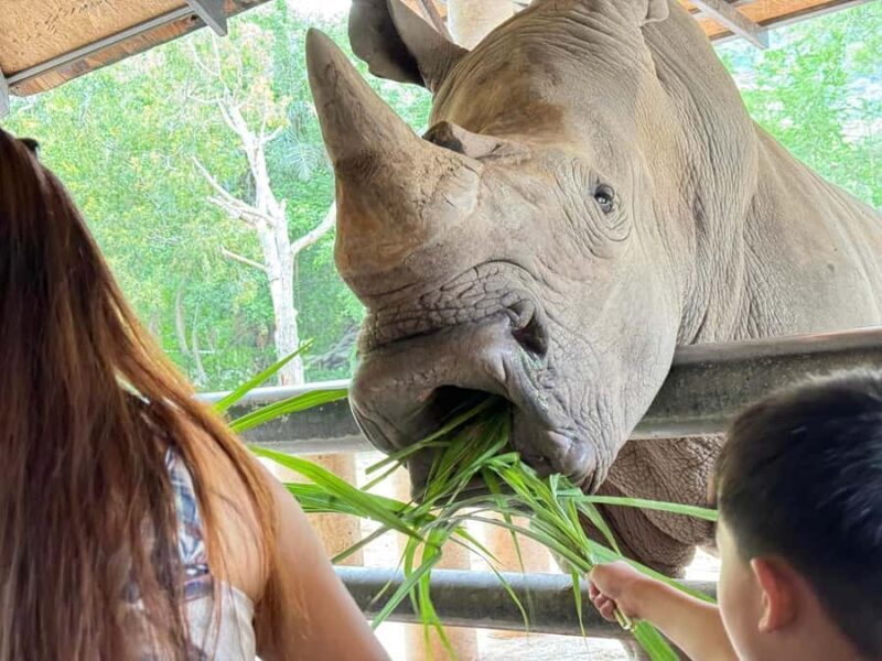 Bangkok: Elephant Sanctuary &Khao Kheow Open Zoo (Moodeng) - FAQ  