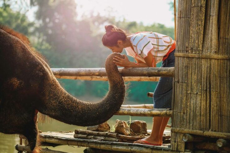 Bangkok: Elephant Sanctuary Visit & SUP on the River Kwai - Booking Details