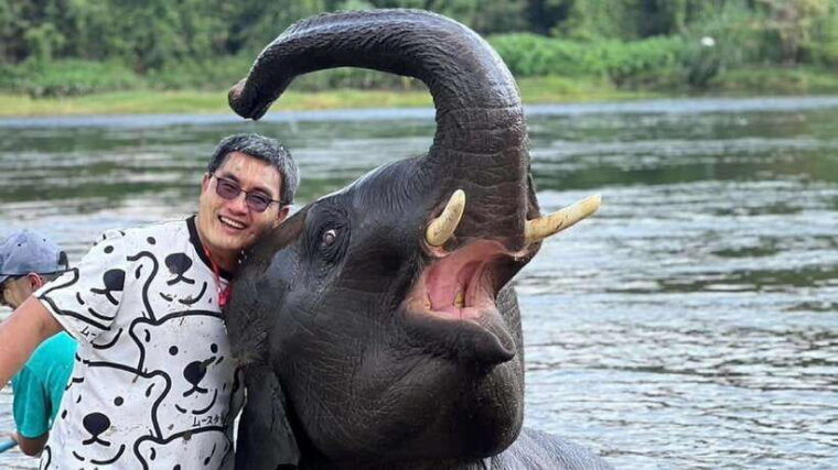Bangkok: Elephants World & Erawan Waterfall in Kanchanaburi - Erawan Waterfall Adventure