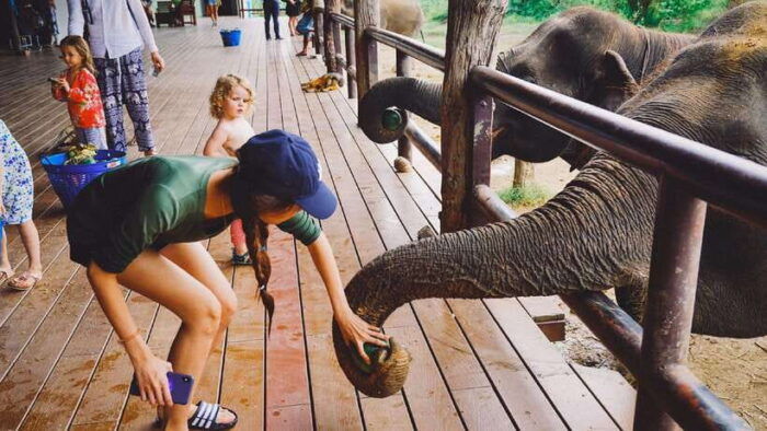 Bangkok: Elephants World & Erawan Waterfall in Kanchanaburi - Packing and Preparation