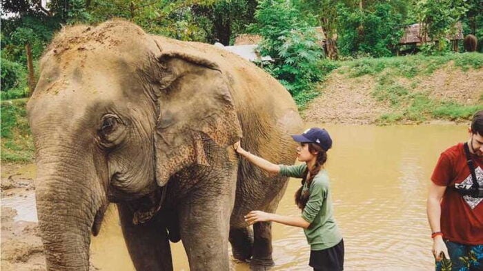 Bangkok: Elephants World & Erawan Waterfall in Kanchanaburi - Customer Feedback and Testimonials