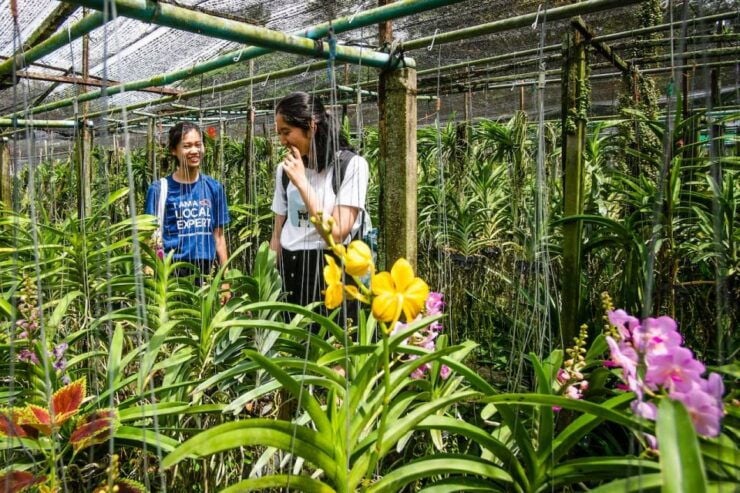 Bangkok Floating Market & Boat Ride to an Orchid Farm - Experience Itinerary