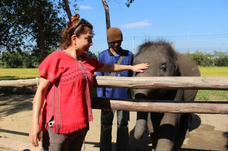 Bangkok Floating & Train Market, Elephant Camp Private Van - Downside & Considerations