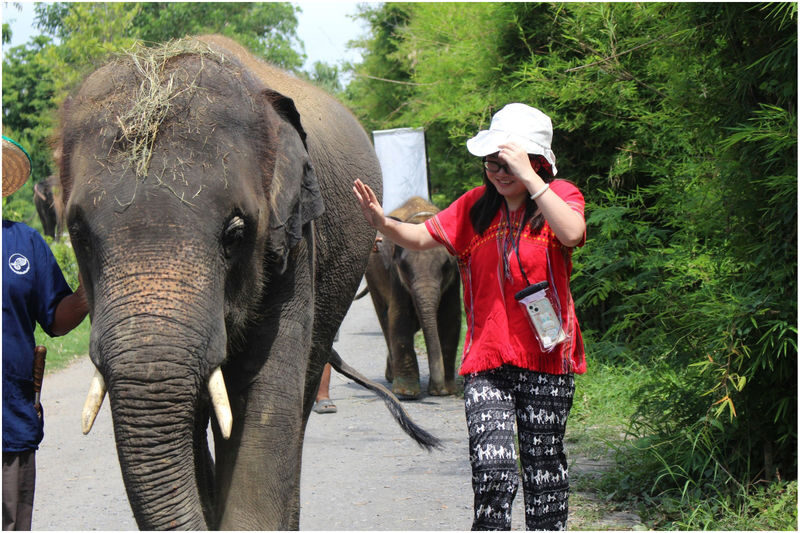 Bangkok Full-Day Maeklong Railway & Floating Market Experience - A good guide can turn transfers into useful time