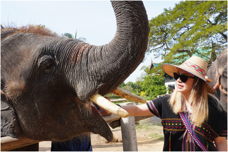 Bangkok Full-Day Maeklong Railway & Floating Market Experience - Should you book it?