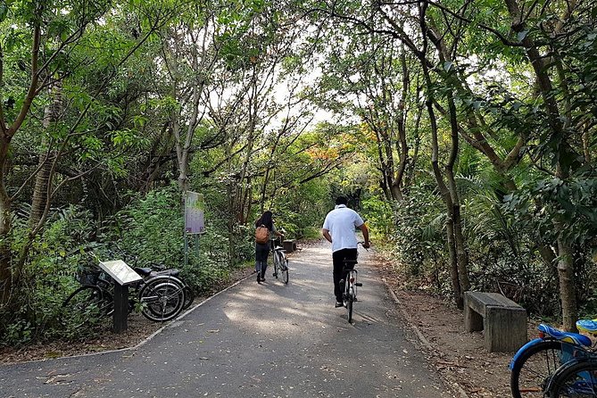 Bangkok Green Lung Jungle Bike Tour With Lunch and Boat Ride - Booking and Pricing Information