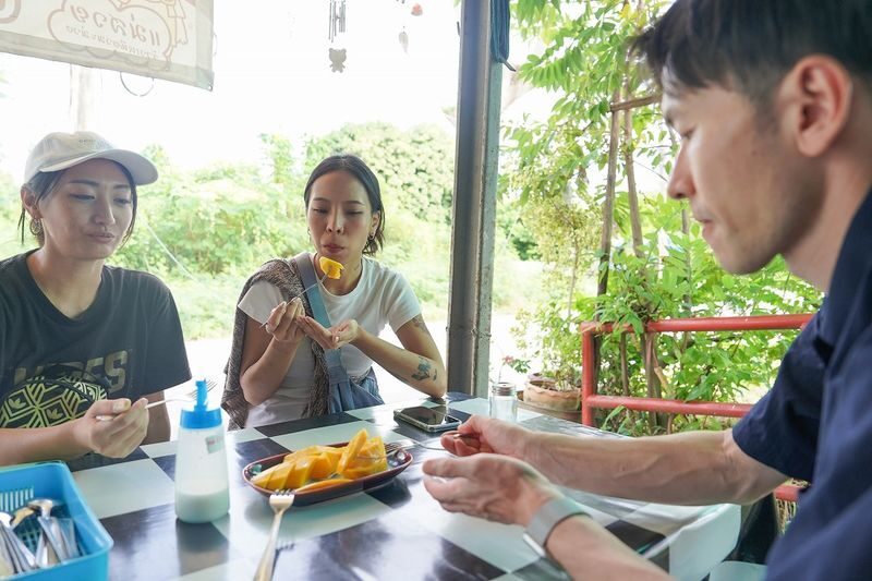 Bangkok Green Oasis Nature Bike Tour with Local Lunch - Timing, price, and what the package covers