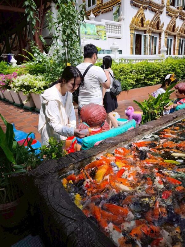 Bangkok Half-Day Bike Tour with Big Buddha - Who should consider this tour