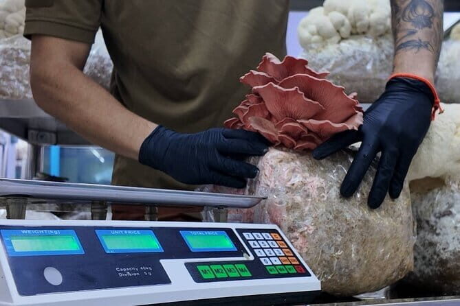 Bangkok Hands on Thai Cooking Class 4 Daily Set Menus - Who Should Book This?