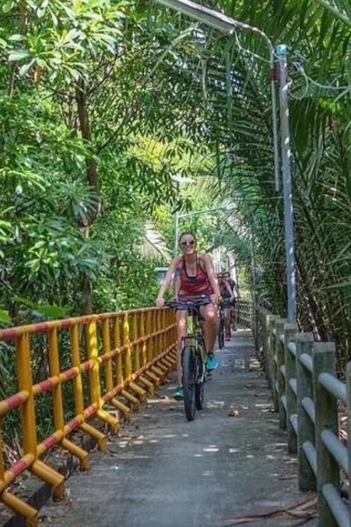 Bangkok Jungle Bike Tour: Pick up and Lunch Included - Inclusions of the Tour