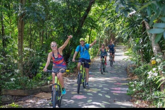Bangkok Jungle Bike Tour: Pick up and Lunch Included - Highlights of the Experience