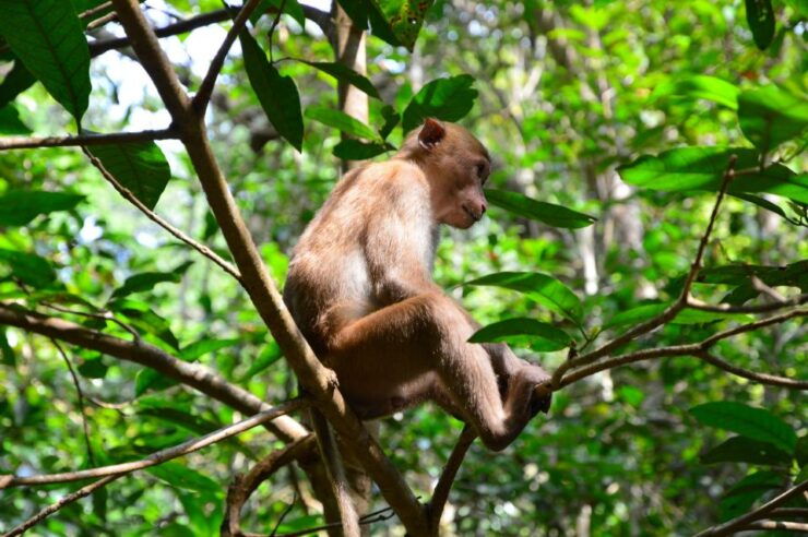Bangkok: Kanchanaburi and Erawan Waterfall Private Tour - Tour Overview