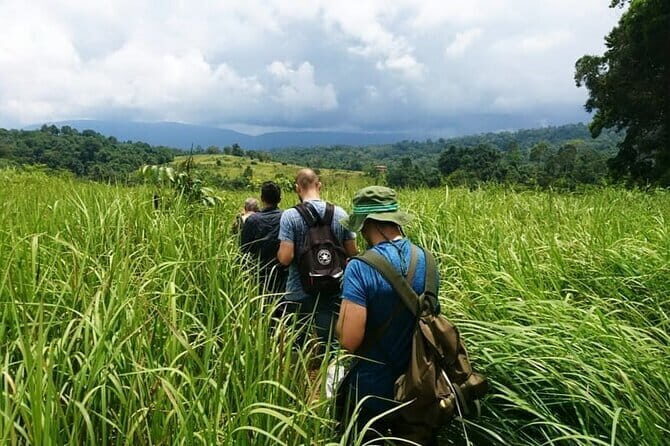 Bangkok: Khao Yai Nature Trails & Heaw Suwat Waterfall - Good To Know
