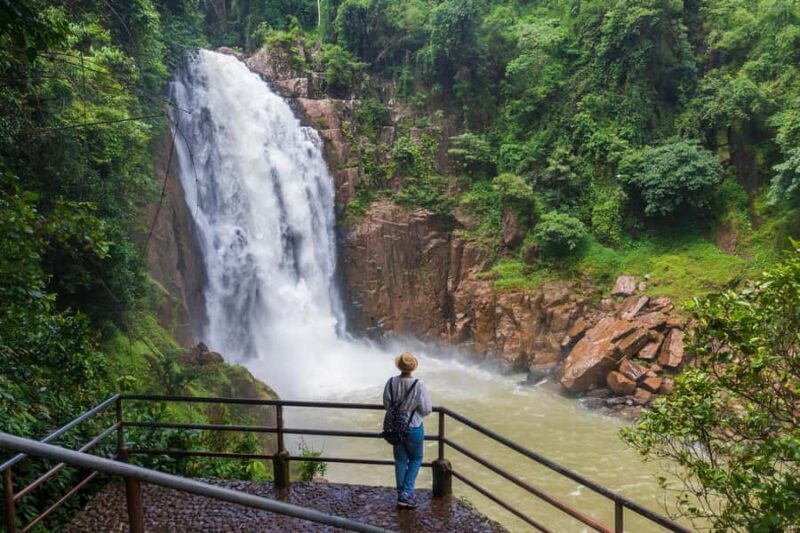 Bangkok: Khao Yai Waterfalls, Deer Spotting & Jungle Walks - FAQ (Frequently Asked Questions)